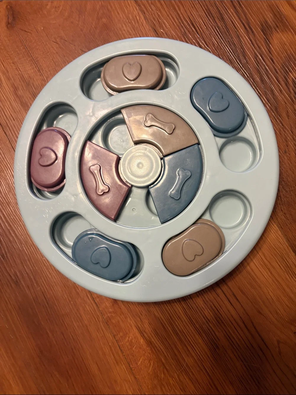 Source Unknown Interactive Puzzle Feeder in Blue, Pink, Tan and Gray